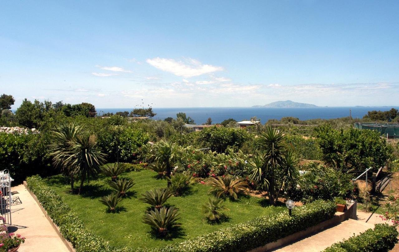 Villa Damecuta B&B 아나카프리 외부 사진
