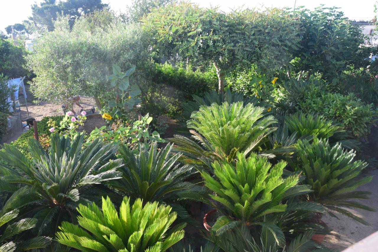 Villa Damecuta B&B 아나카프리 외부 사진